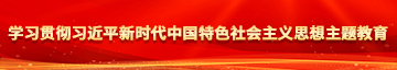 哦,啊,操我,日我学习贯彻习近平新时代中国特色社会主义思想主题教育